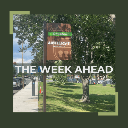 Downtown Amherst Park