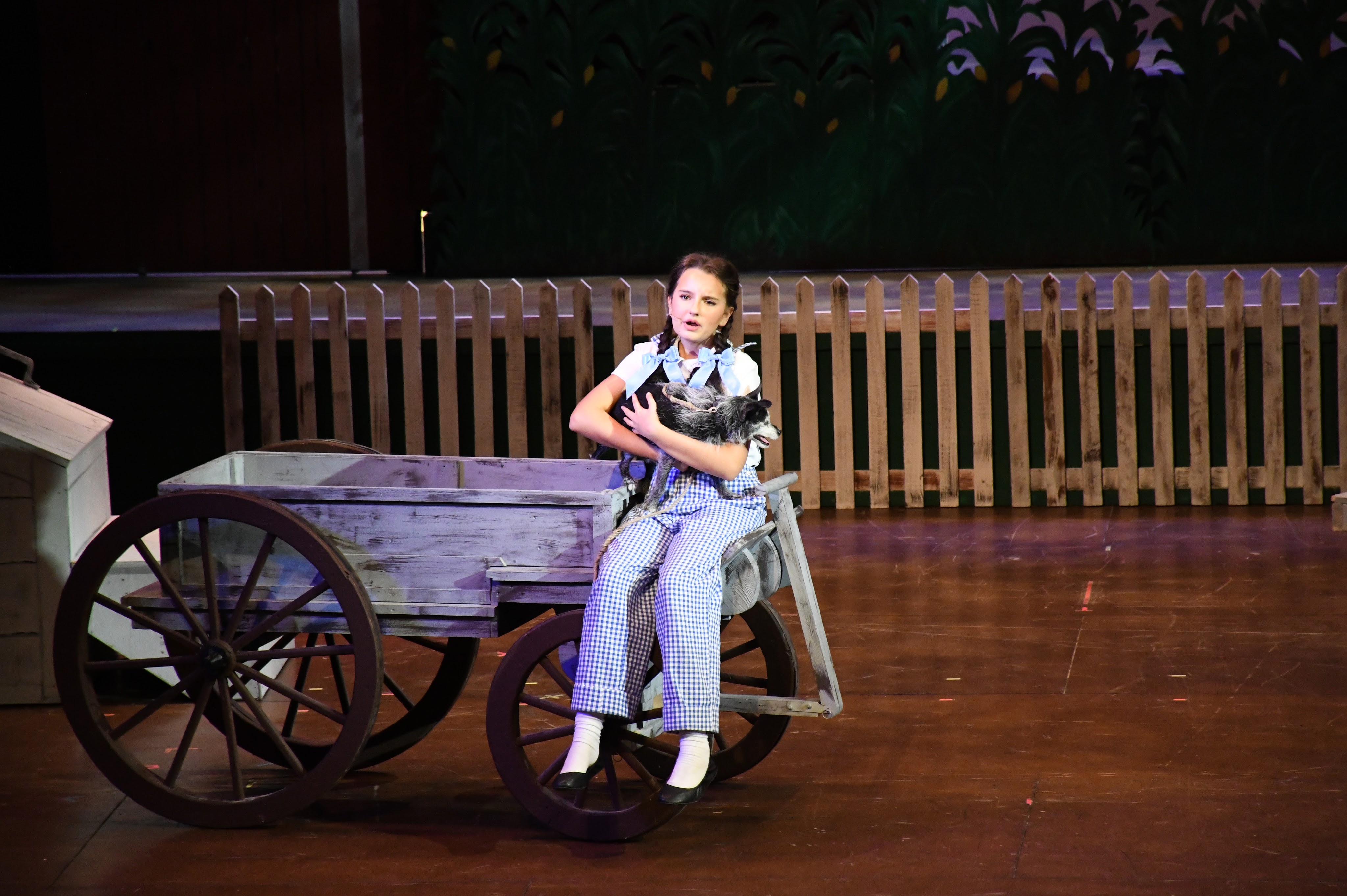 Alex Cox and Noelani Schober