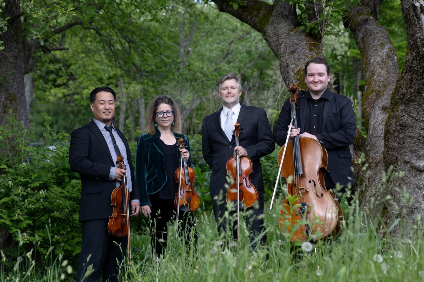 Valley Chronicles: Upcoming Cultural Events and Recent Reviews